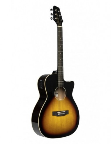 Cutaway acoustic-electric auditorium...