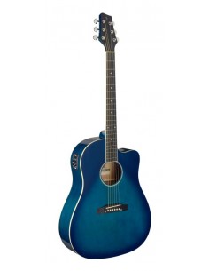 Cutaway acoustic-electric...