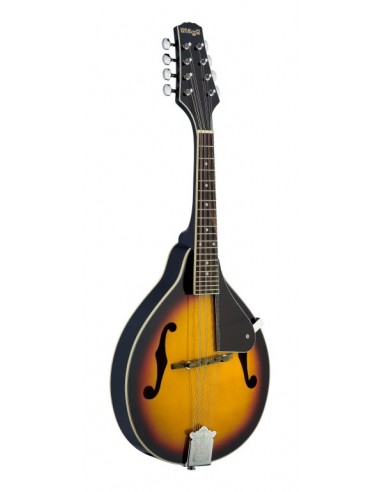 Bluegrass Mandolin with basswood top