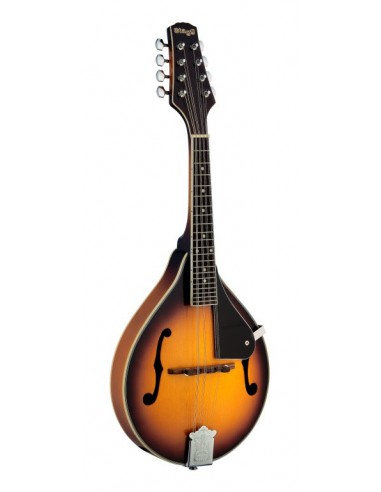 Bluegrass Mandolin with solid spruce top