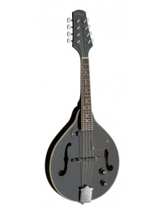 Black acoustic-electric...