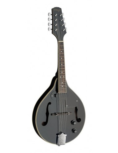 Black acoustic-electric bluegrass...