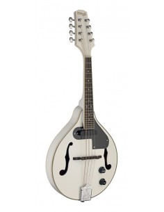 White acoustic-electric...
