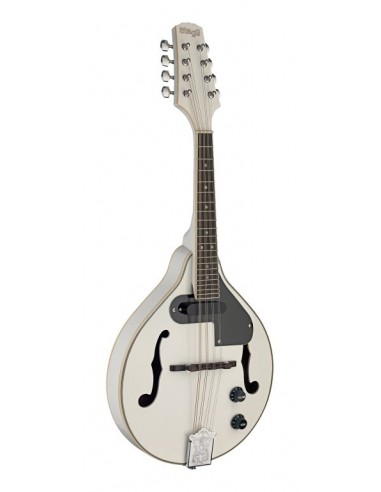 White acoustic-electric bluegrass...