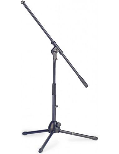 Low profile 2-section microphone...