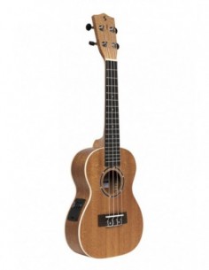 Acoustic-electric concert...