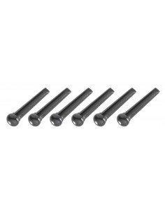 Pins for acoustic guitar...