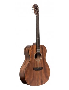 Acoustic auditorium guitar...
