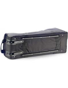 Regular bag with Wheels for... 2