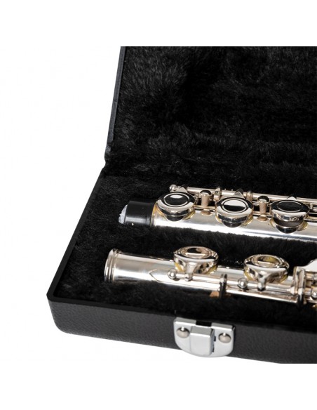 ABS Case for Flute