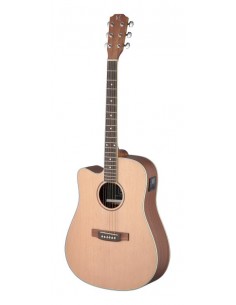 Asyla series 4/4 cutaway...