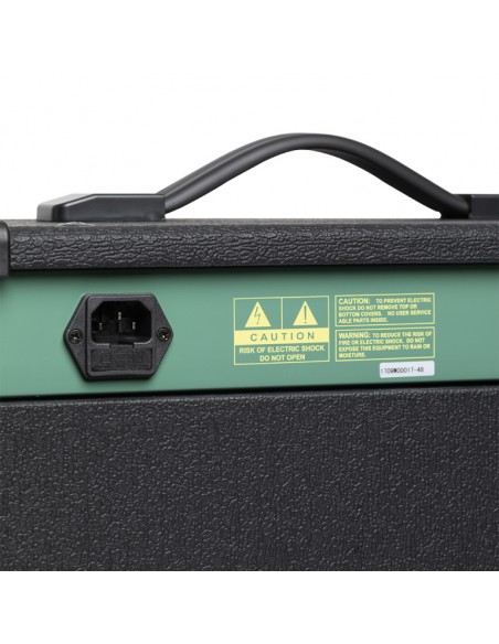 20 W RMS Guitar Amplifier