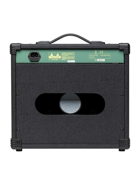20 W RMS Guitar Amplifier
