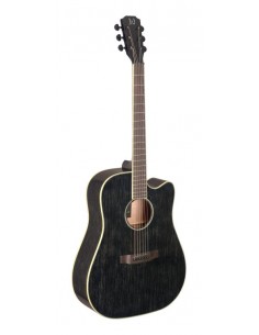 Cutaway acoustic-electric...