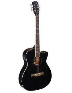 Black acoustic-electric...
