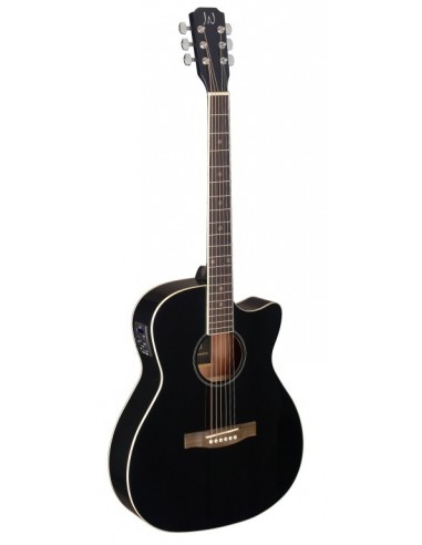 Black acoustic-electric auditorium...