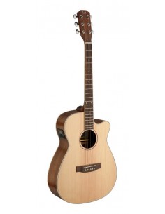 Asyla series 4/4 cutaway...