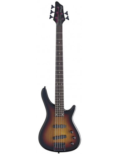5-String "Fusion" electric Bass guitar