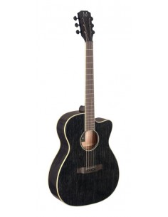 Cutaway acoustic-electric...