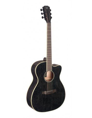 Cutaway acoustic-electric auditorium...