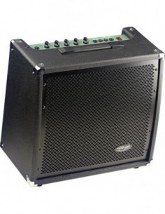 60 W RMS Bass Amplifier