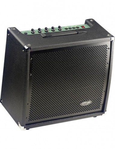 60 W RMS Bass Amplifier