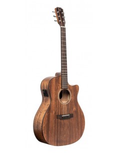Cutaway acoustic-electric...