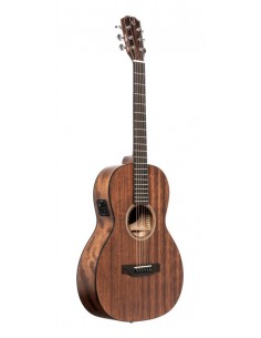 Acoustic-electric parlor...