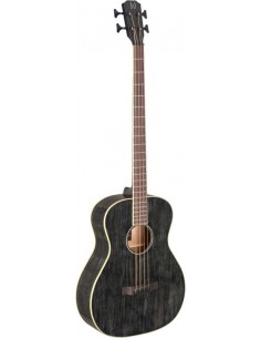 Acoustic-electric bass with...