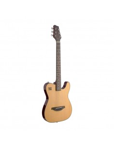 Electric solid body folk... 2