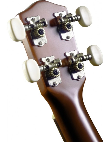 Traditional soprano ukulele with flower design, in black nylon gigbag