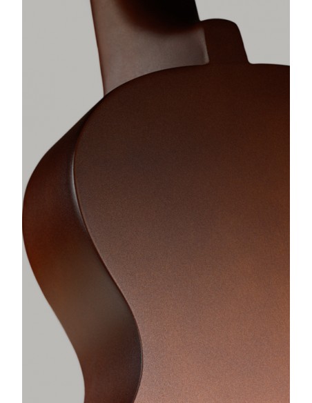 Soprano ukulele in black nylon gigbag