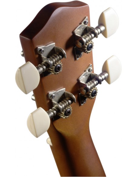 Soprano ukulele in black nylon gigbag