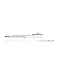 C flute, 2 head joints... 2