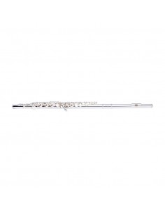 C Flute, open holes, offset... 2