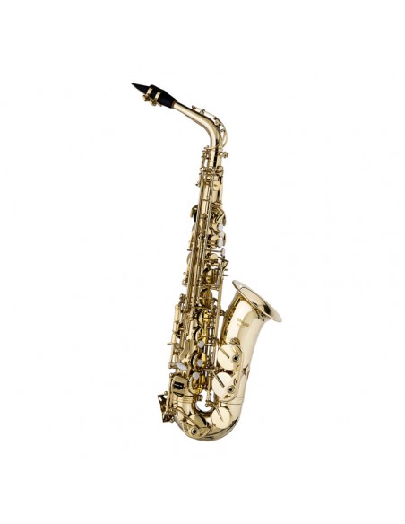 Eb Alto Saxophone, in form case