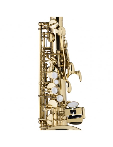 Eb Alto Saxophone, in form case