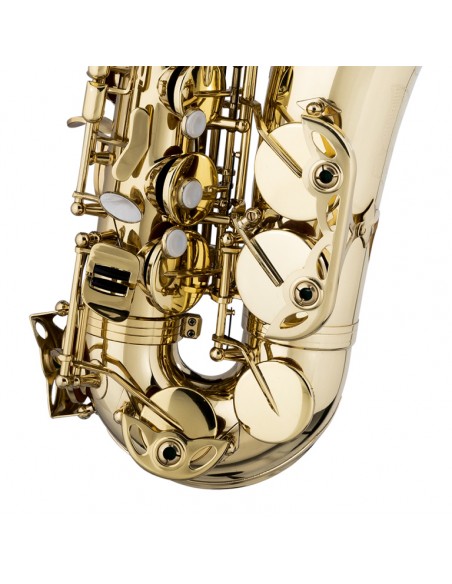 Eb Alto Saxophone, in form case
