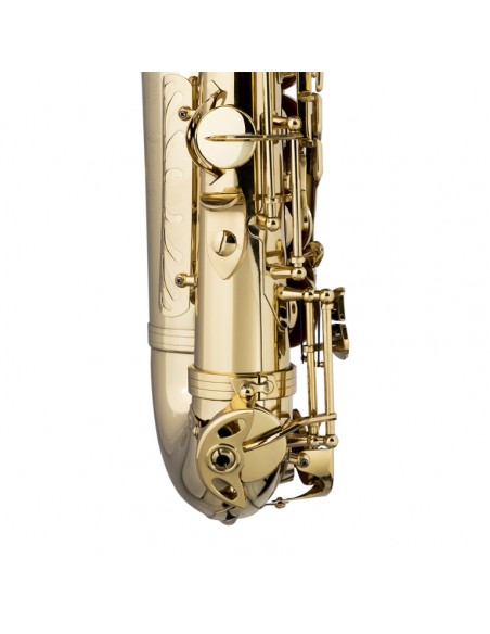 Eb Alto Saxophone, in form case