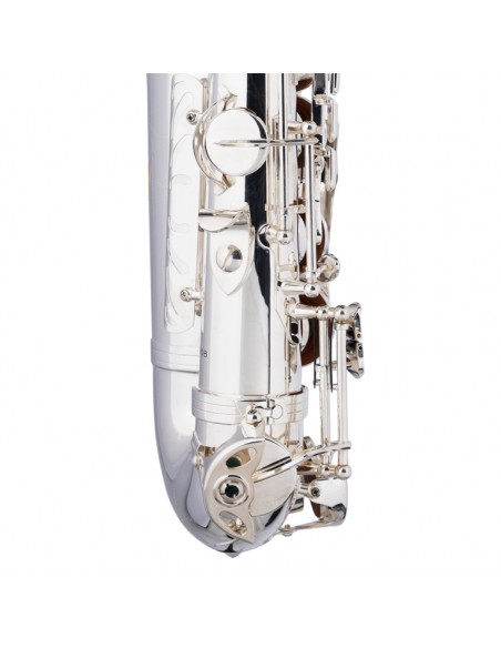 Eb Alto Saxophone, in soft case