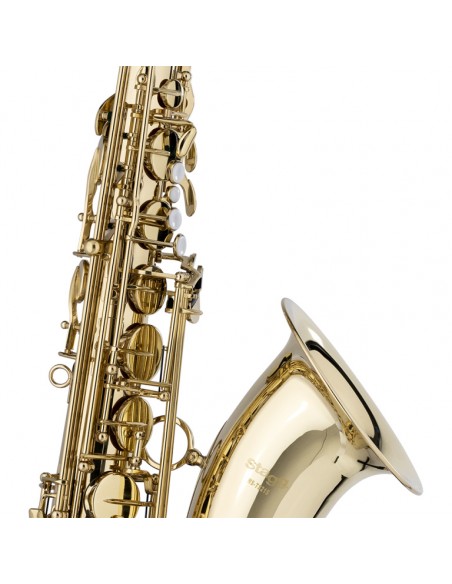 Bb Tenor Saxophone, in soft case