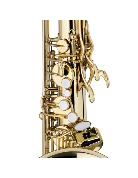 Bb Tenor Saxophone, in soft case