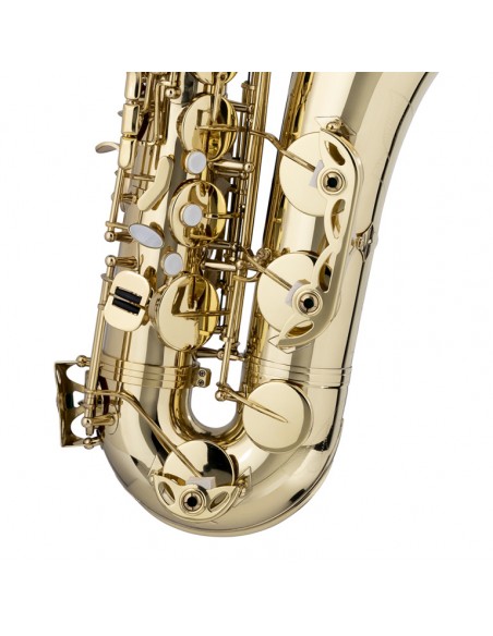 Bb Tenor Saxophone, in soft case
