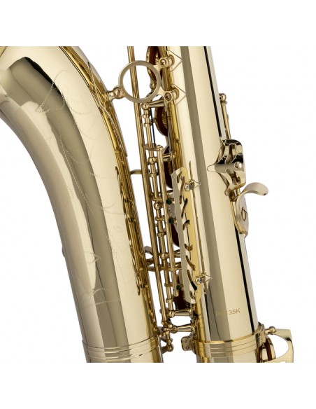 Bb Tenor Saxophone, in soft case