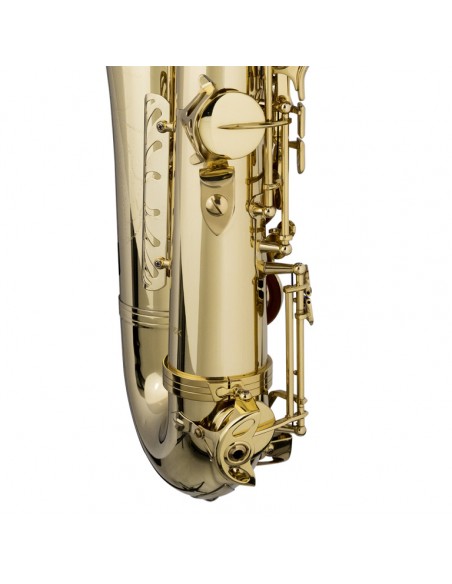 Bb Tenor Saxophone, in soft case