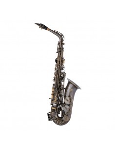Eb Alto Saxophone, in soft... 2