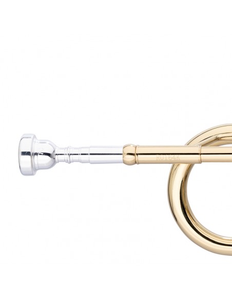 C Trumpet, ML-bore, Brass body material