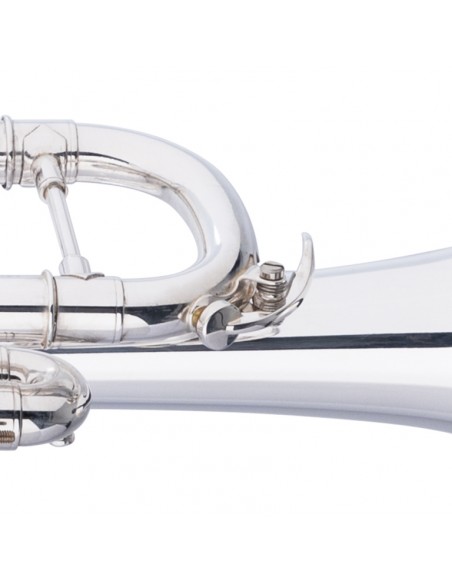 Bb Trumpet, Bell and leadpipe in gold brass
