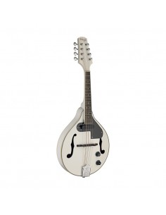White acoustic-electric... 2