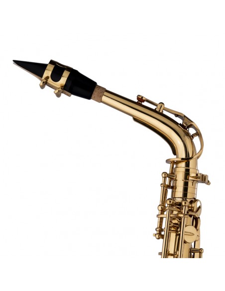 Eb alto saxophone, hand-engraved bell, with soft case